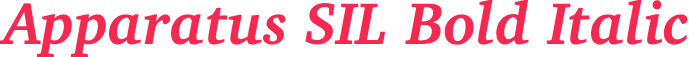 Apparatus SIL Bold Italic